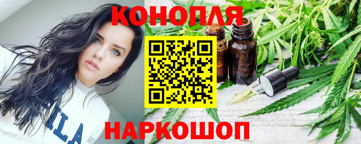 Каннабис сатива Нягань